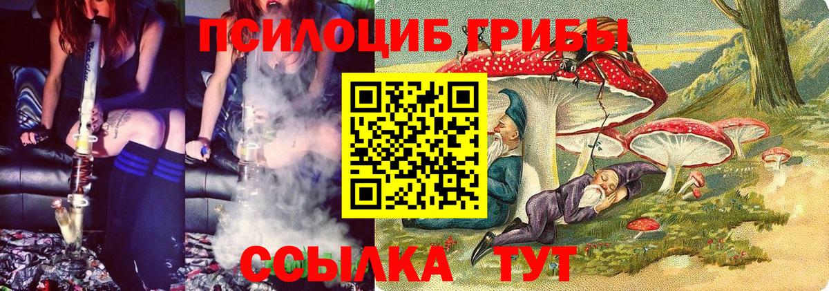 Иваново  Галлюциногенные грибы мицелий  Псилоцибиновые грибы Psilocybe  Вход с VPN 