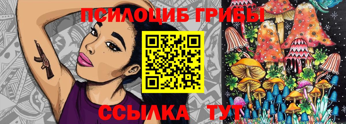 Псилоцибиновые грибы GOLDEN TEACHER Иваново